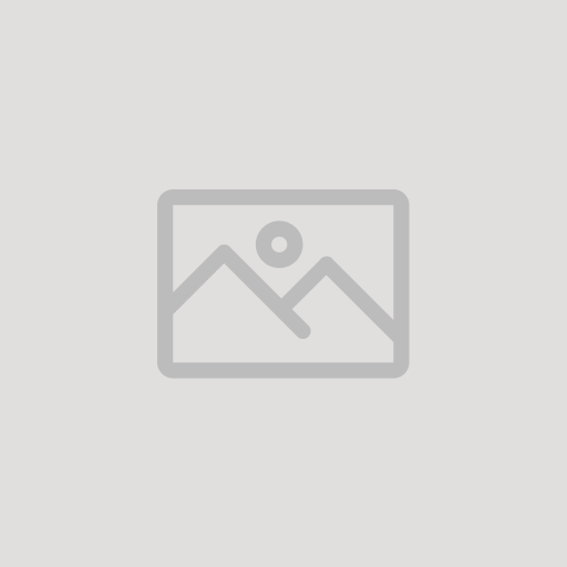 TW-STD_v2019-02-20_shp-v2019-01-25 preview